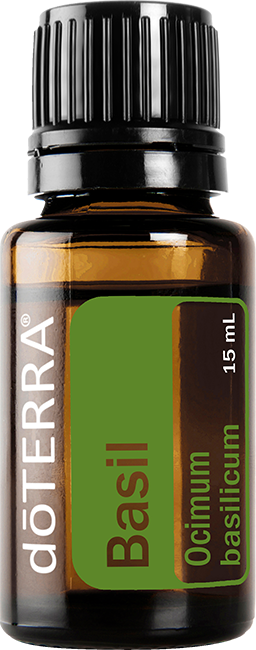 Basil