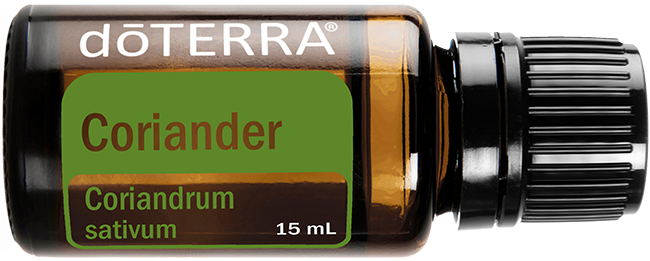 Coriander Oil