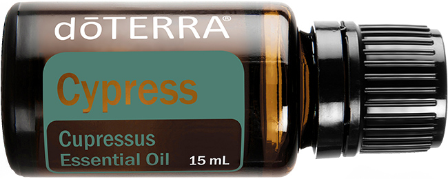 Cypress Oil