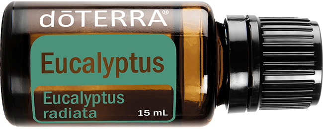 Eucalyptus Oil
