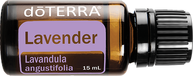 Lavender Oil