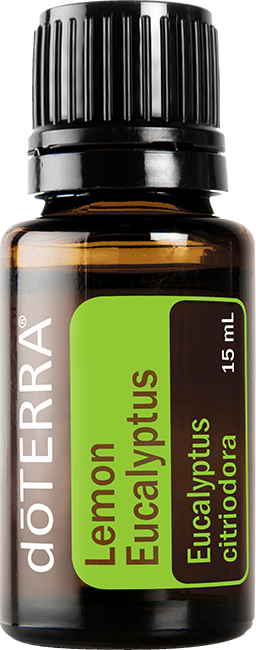lemon eucalyptus oil