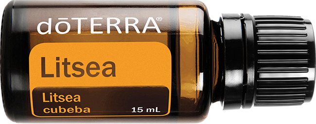 Litsea Oil