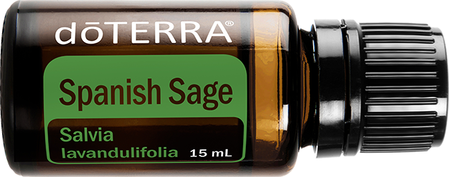 Spanish Sage essential oil 15ml