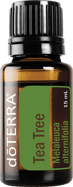 Tea Tree