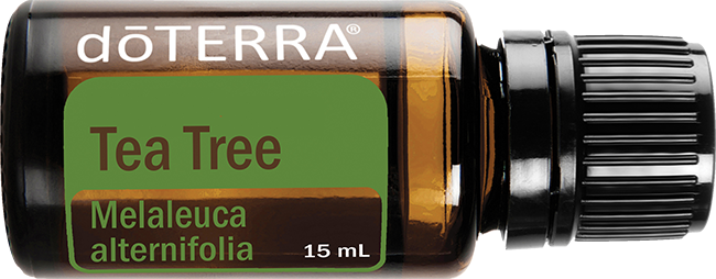 Tea Tree Oil