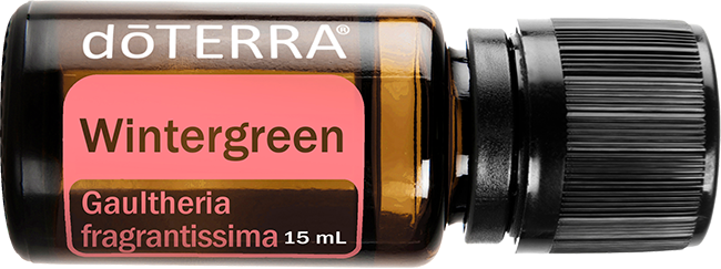 Wintergreen (Nepalese)