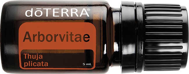 Arborvitae Oil