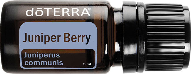 Juniper Berry Oil