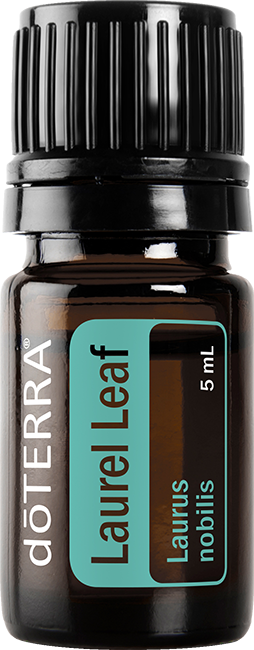 Laurel Leaf 5mL