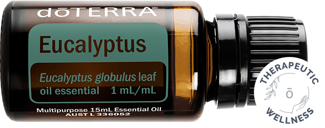 Eucalyptus Oil