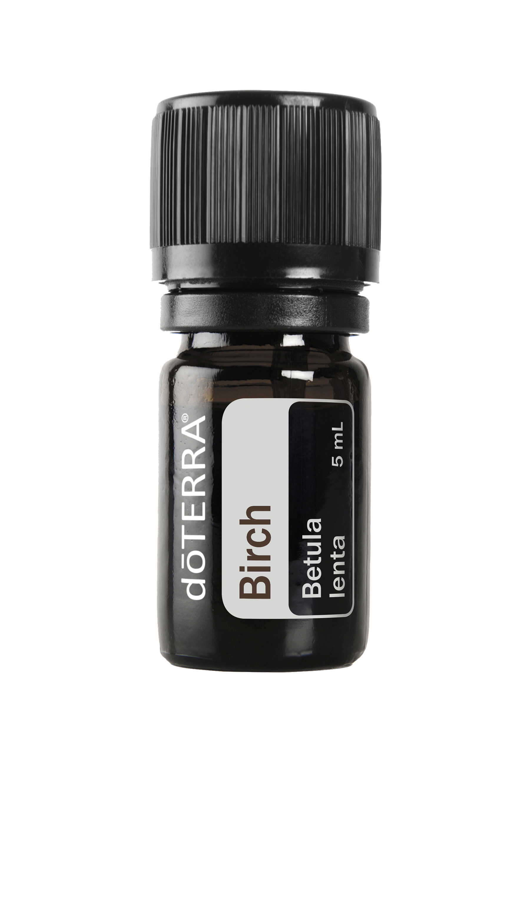 Birch 5mL