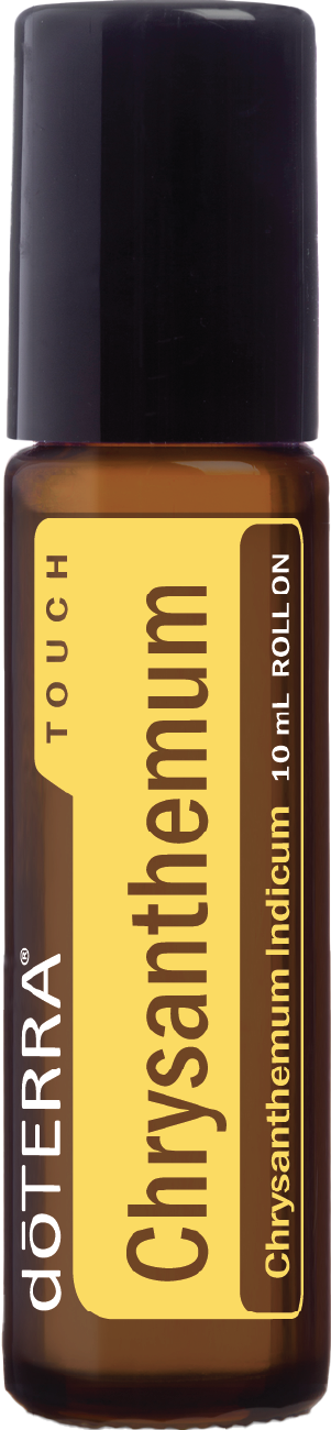 Chrysanthemum Touch