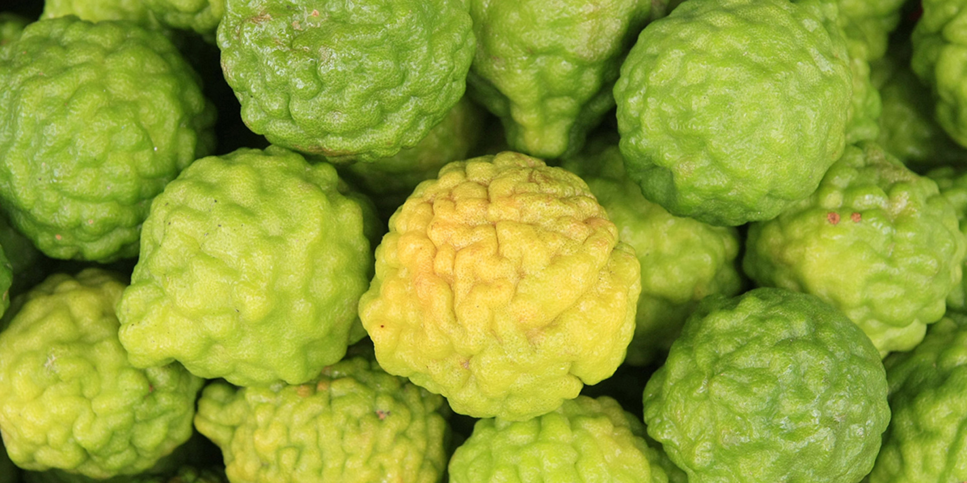 <!-- product_uses_image_alt -->