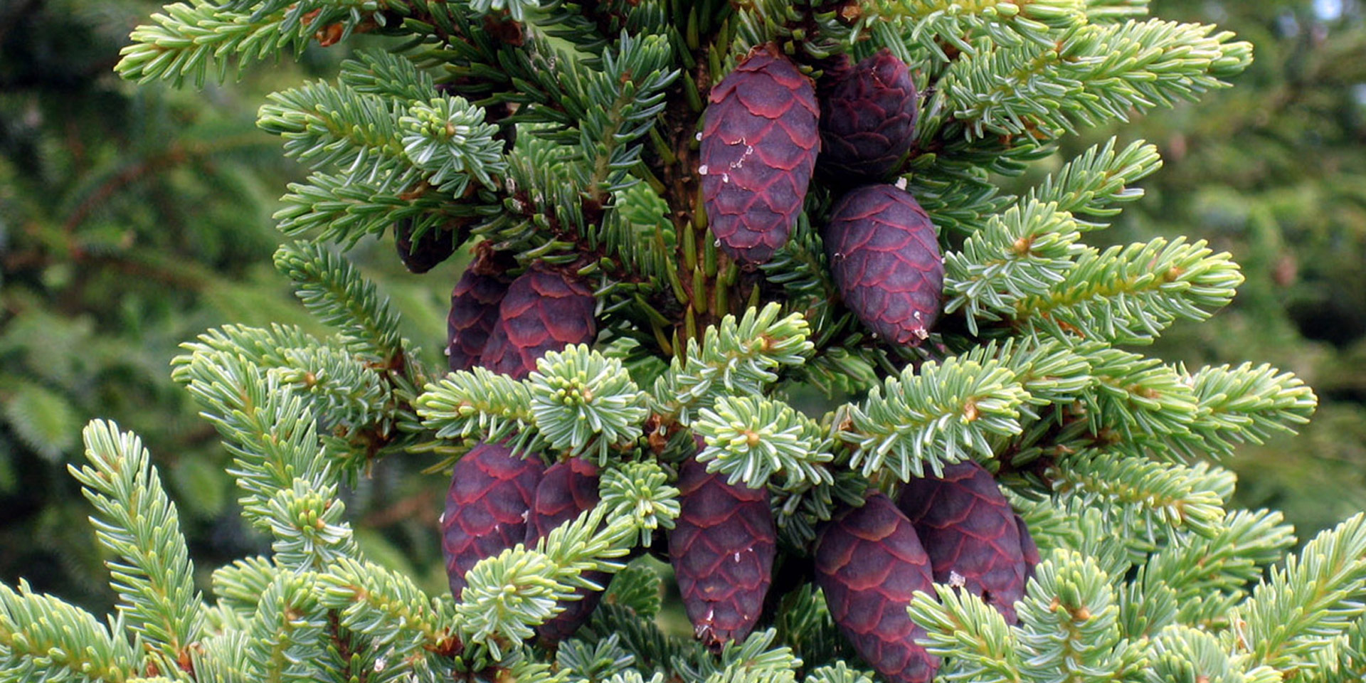 <!-- product_benefits_image_alt -->