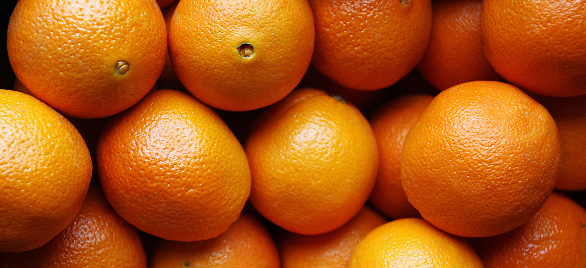 <!-- product_benefits_image_alt -->