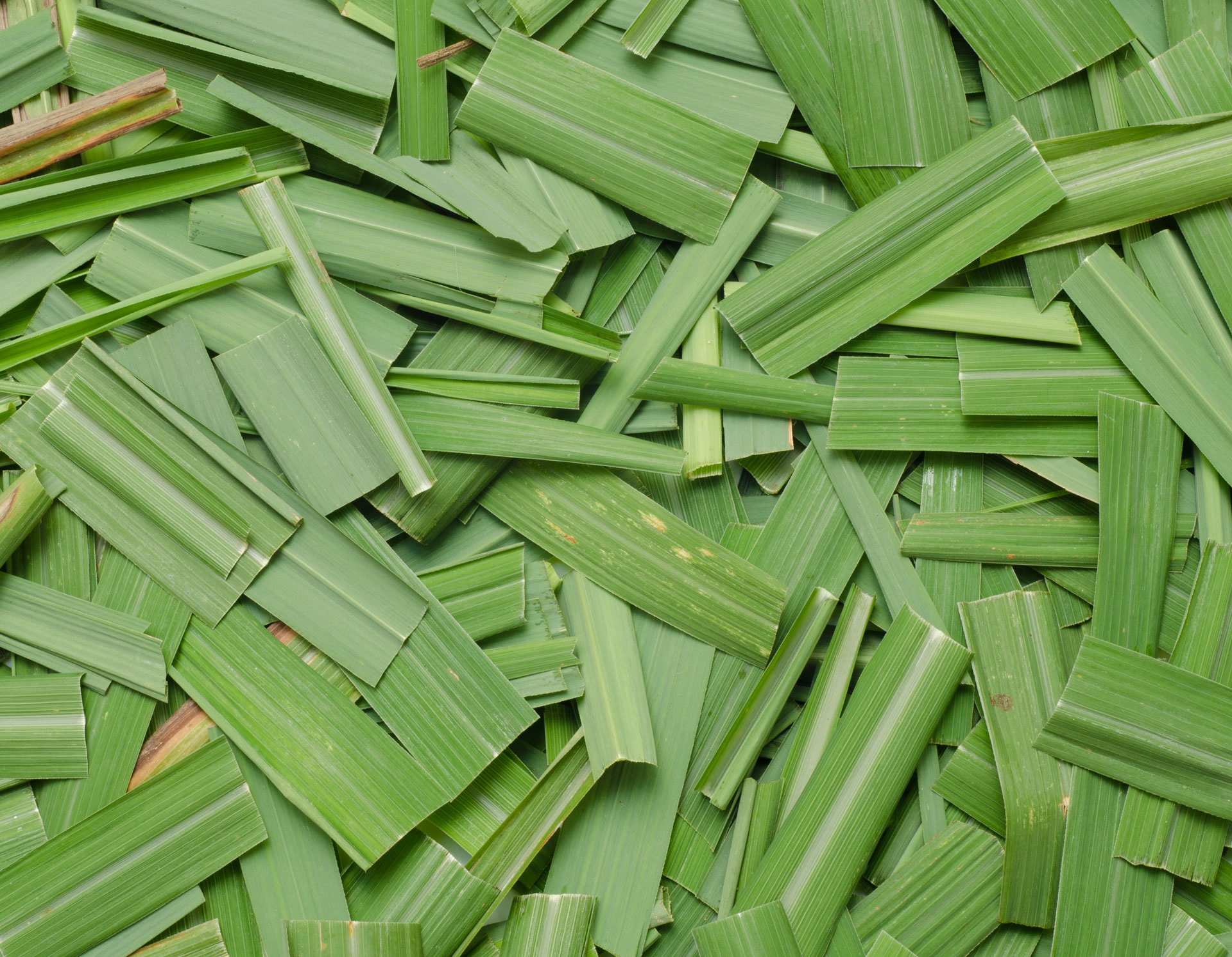 <!-- product_uses_image_alt -->