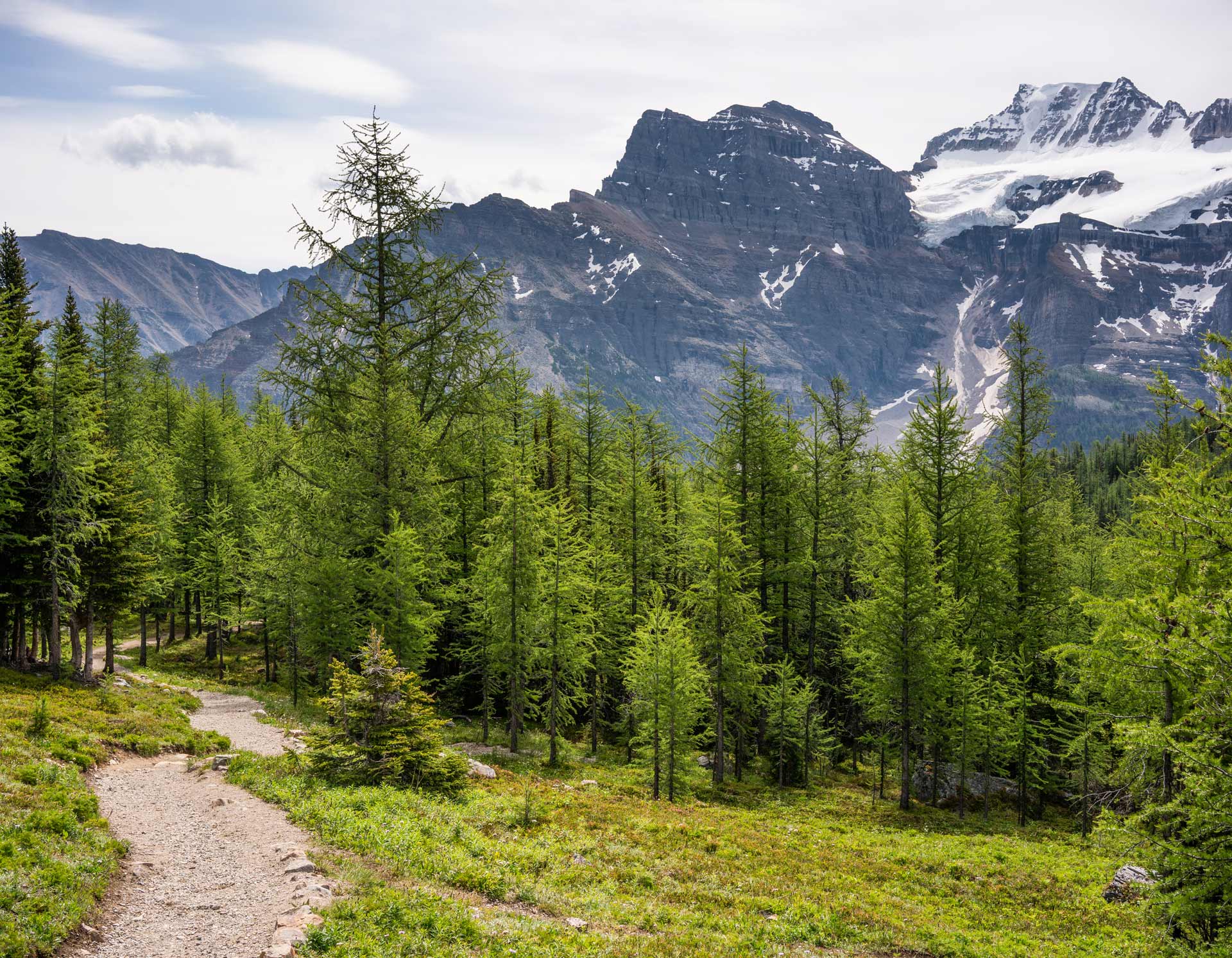 <!-- product_uses_image_alt -->