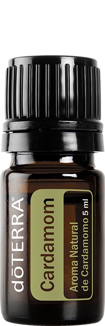 Cardamom (Food)