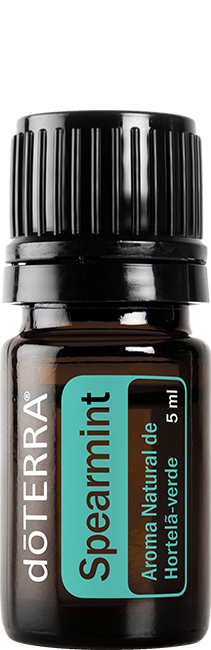 Spearmint (Food)