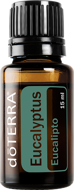 Eucalyptus