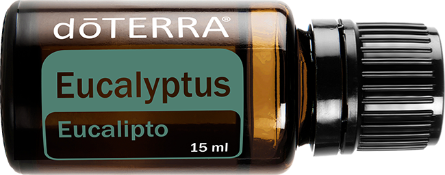 Eucalyptus 15 ml