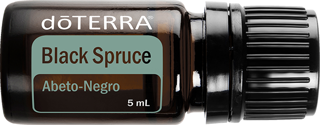 Black Spruce Essential Oil 5 ml