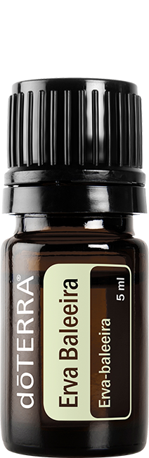 Erva Baleeira Óleo Essencial 5 ml