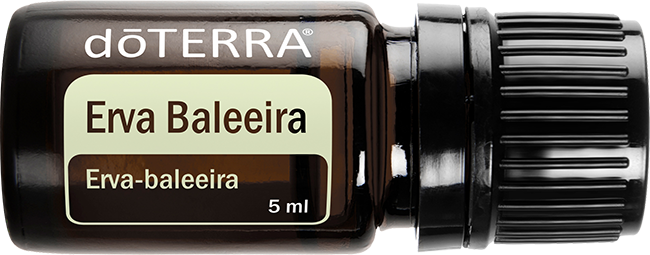 Erva Baleeira Óleo Essencial 5 ml