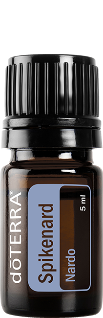 Spikenard Essential Oil 5 ml
