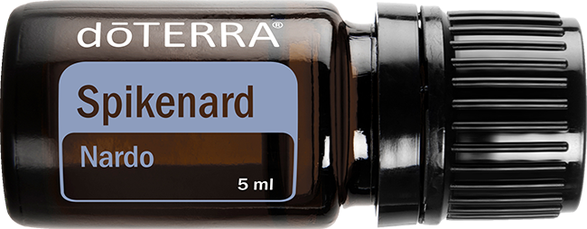 Spikenard Essential Oil 5 ml