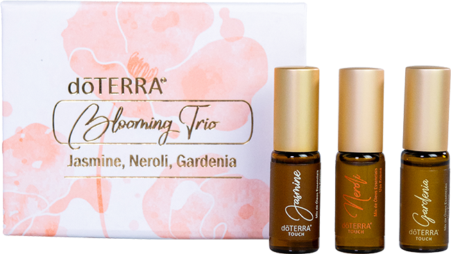 Blooming Trio Kit
